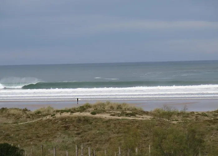 Watsay Surf HouseHostal